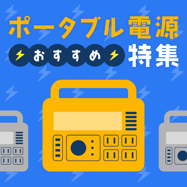 �ЊQ���̔��������Ɩ��̃T�|�[�g�ɂ��������߂̃|�[�^�u���d�����W