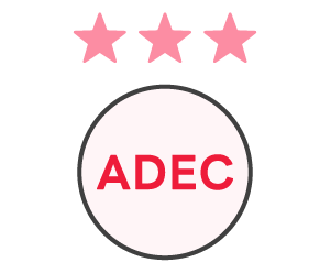 ADEC�̃v���Z�X�F�背�[�e�B���O�O�c���̃C���X�g